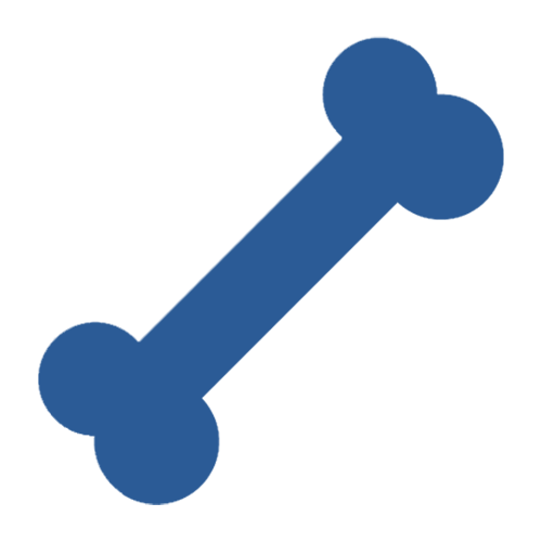 Heaven Goldendoodles Puppy Preschool