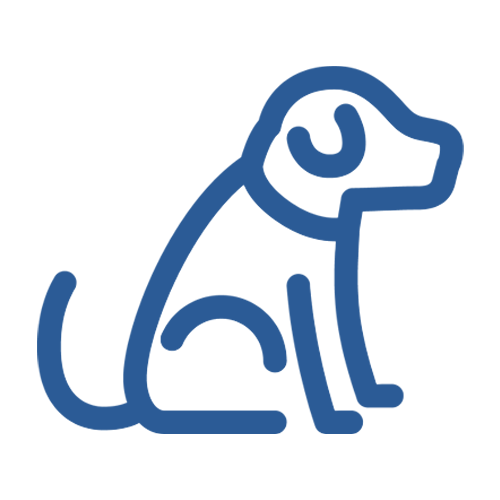 Heaven Goldendoodles Puppy Academy